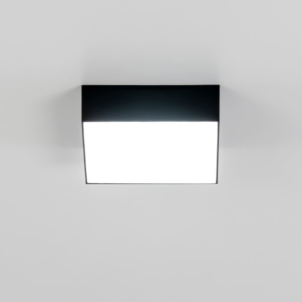 Светильник потолочный Тао CL712X122N