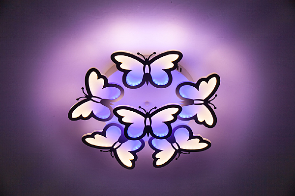 Потолочная люстра Butterfly 10205/5LED