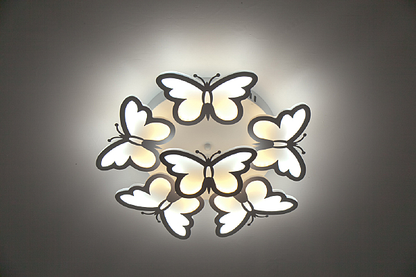 Потолочная люстра Butterfly 10205/5LED