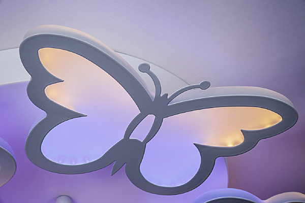 Потолочная люстра Butterfly 10205/5LED