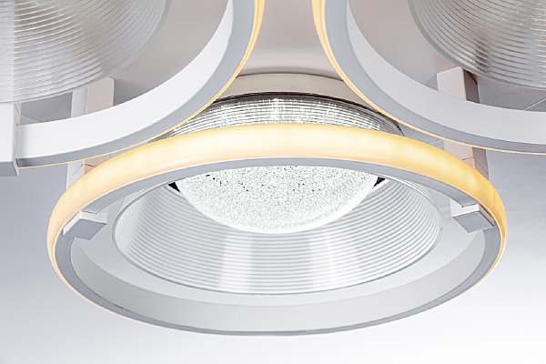 Потолочная люстра Gemini 10209/6LED