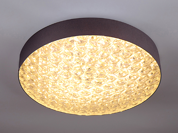Потолочная люстра Edith 10246/1LED