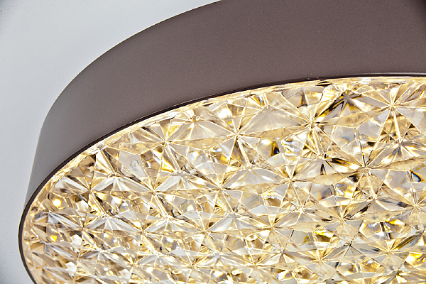 Потолочная люстра Edith 10246/1LED