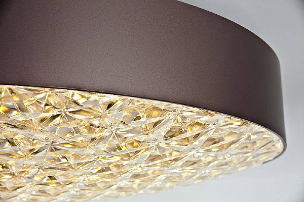 Потолочная люстра Edith 10246/1LED
