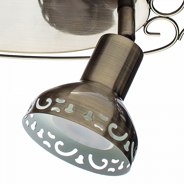 Светильник спот Arte Lamp FOCUS A5219AP-2AB