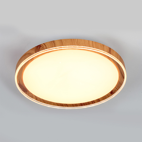 Светильник потолочный 10269 10269/S LED