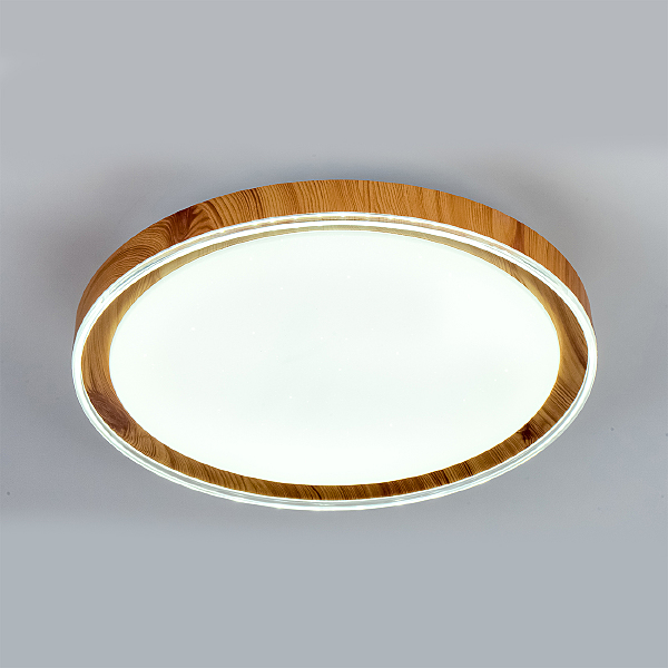 Светильник потолочный 10269 10269/S LED