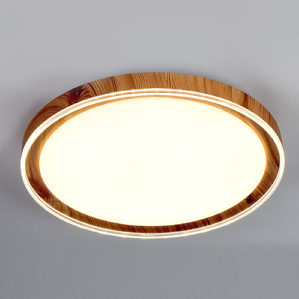 Светильник потолочный 10269 10269/S LED