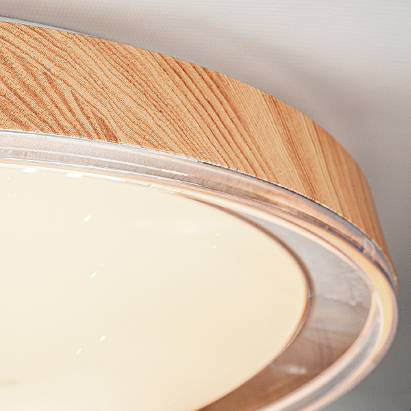 Светильник потолочный 10269 10269/S LED