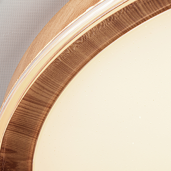 Светильник потолочный 10269 10269/S LED