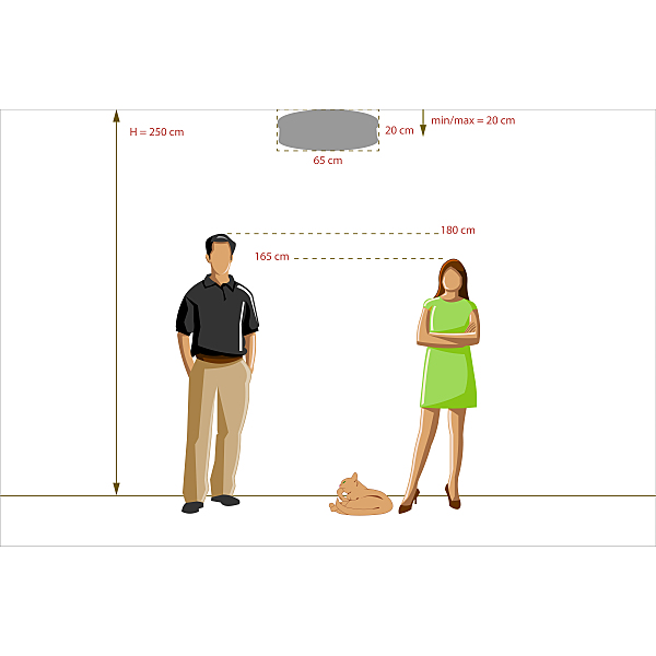 Потолочная люстра Мидос 802011406