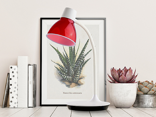 Настольная лампа Ракурс 631036201