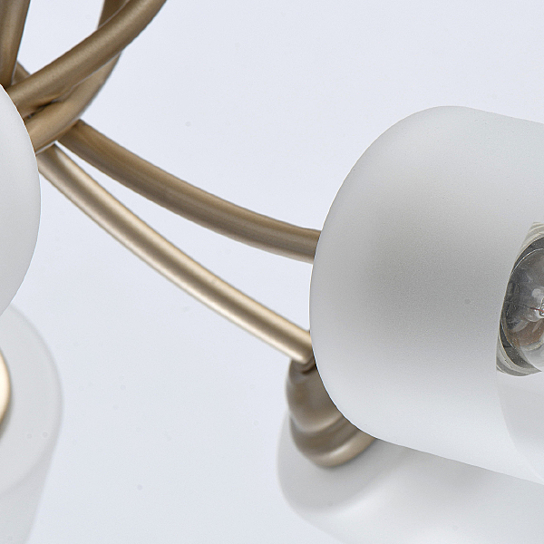 Потолочная люстра Олимпия 638014705