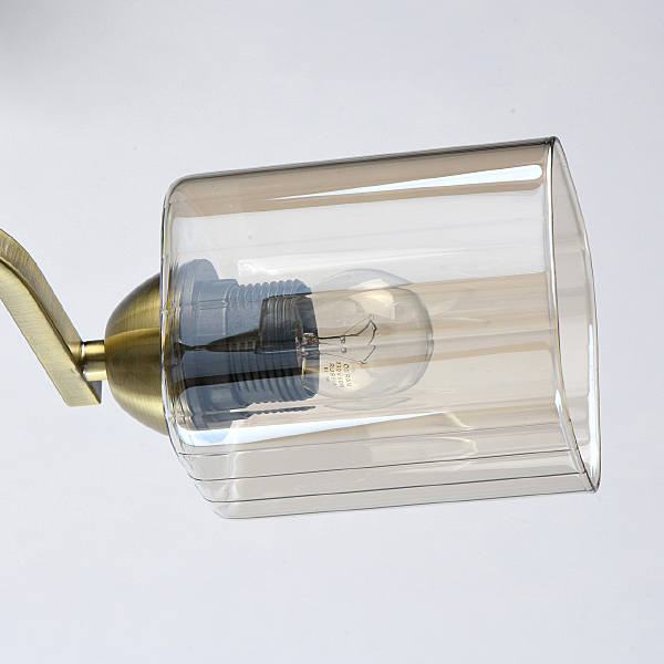 Потолочная люстра Тетро 673016006