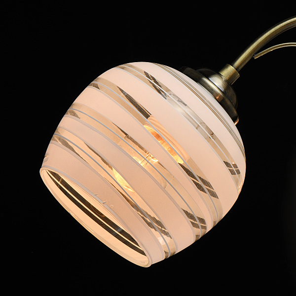 Потолочная люстра Грация 677013108