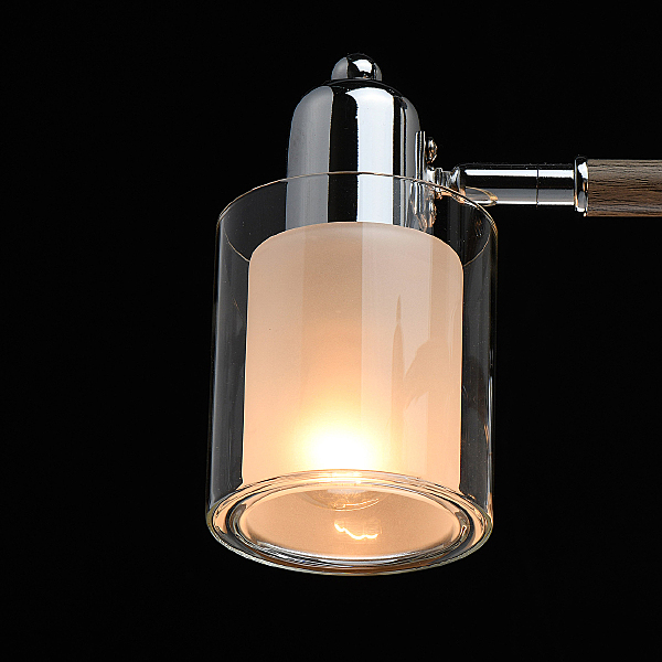 Потолочная люстра Форест 693012505