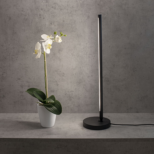 Настольная лампа Torch 6738