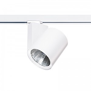 Трековый светильник Ferronego 111 61452