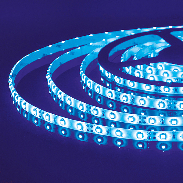 LED лента Лента 12V Лента светодиодная 60Led 4,8W IP65 синий (2835 12V 60Led 4,8W IP65) a040999
