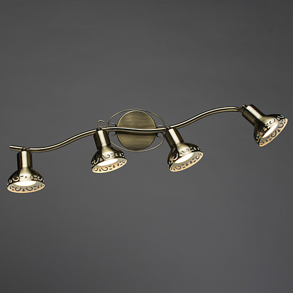 Светильник спот Arte Lamp FOCUS A5219PL-4AB
