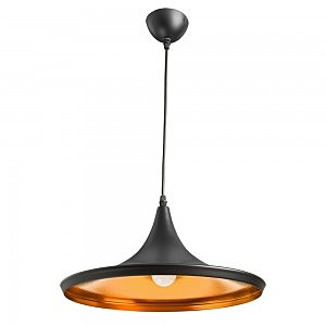 Светильник подвесной Arte Lamp CAPPELLO A3406SP-1BK
