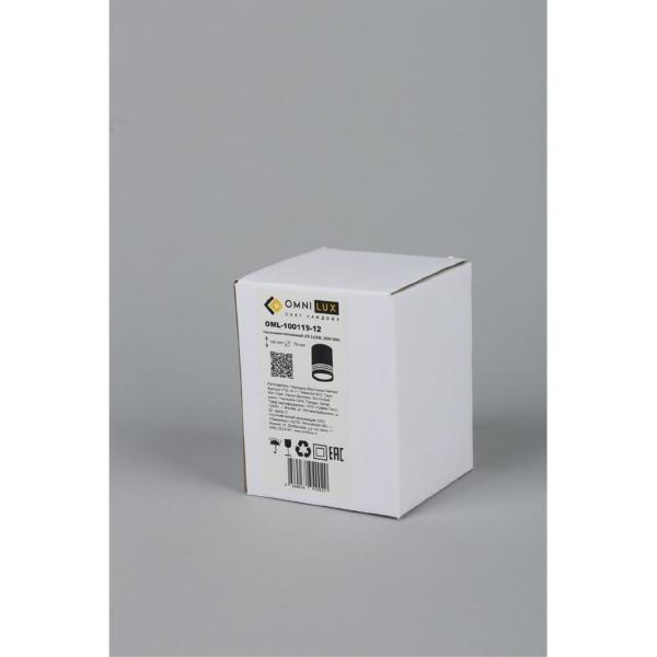 Накладной светильник Fortezza OML-100119-12