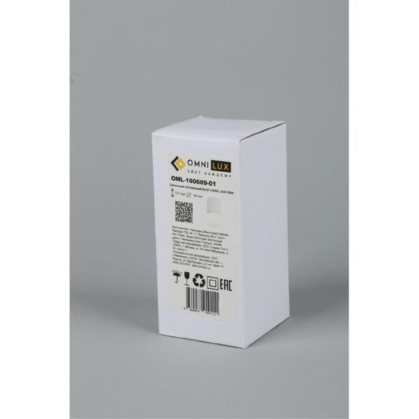 Накладной светильник Lucido OML-100609-01