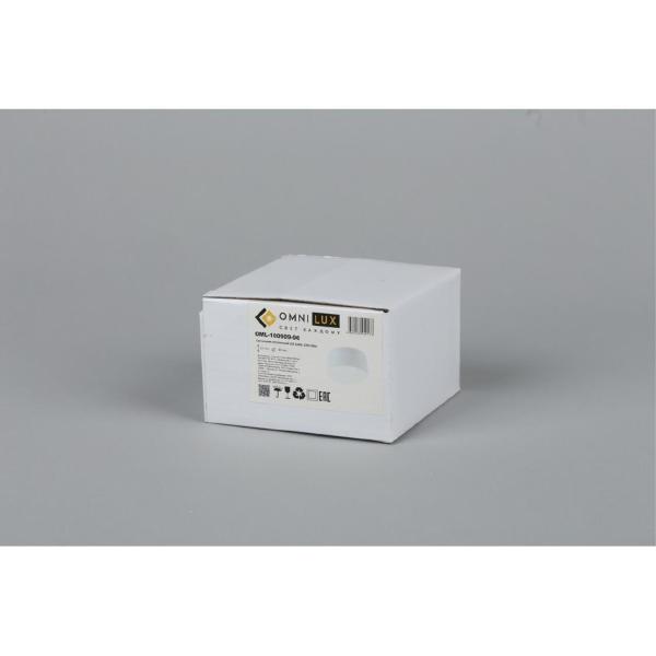 Накладной светильник Salentino OML-100909-06