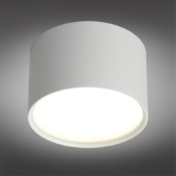 Накладной светильник Salentino OML-100909-06