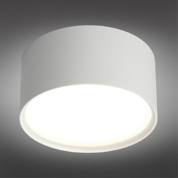 Накладной светильник Salentino OML-100909-12