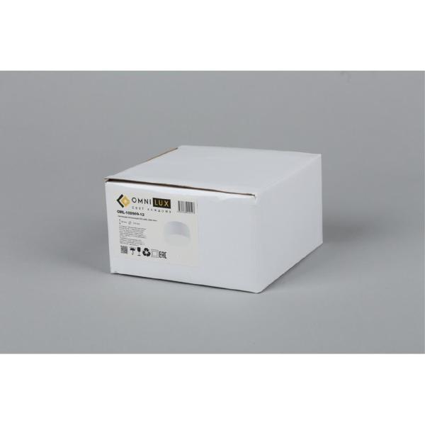 Накладной светильник Salentino OML-100909-12