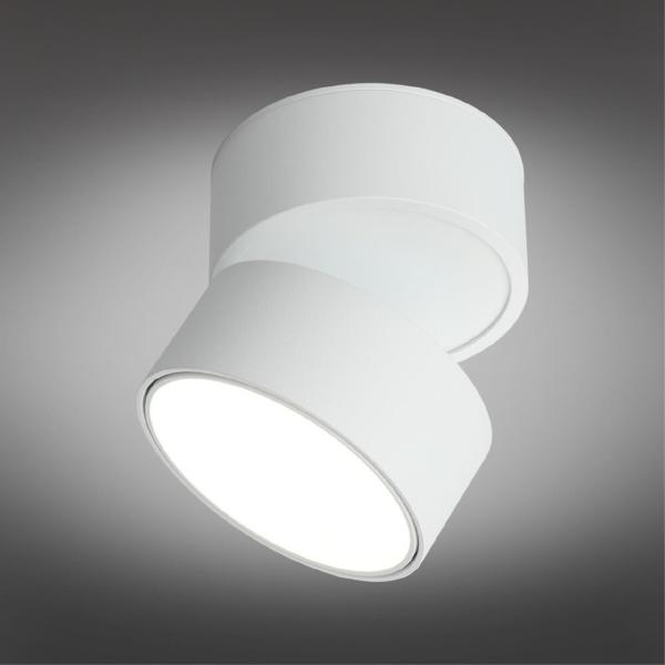 Накладной светильник Lenno OML-101309-12