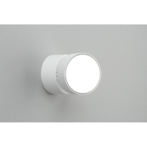Накладной светильник Lenno OML-101309-12