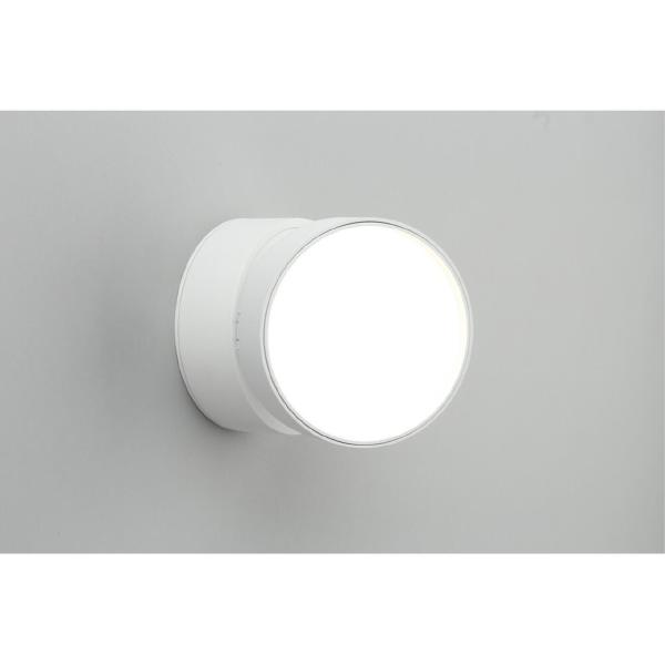 Накладной светильник Lenno OML-101309-18