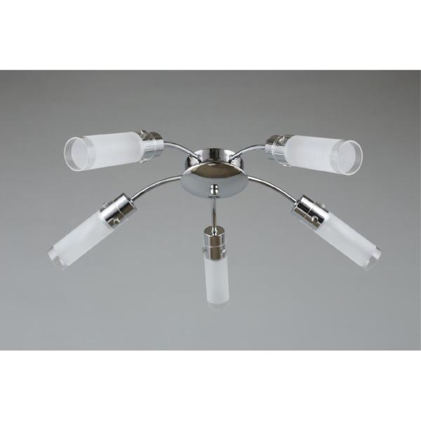 Потолочная люстра Lavarone OML-28707-05