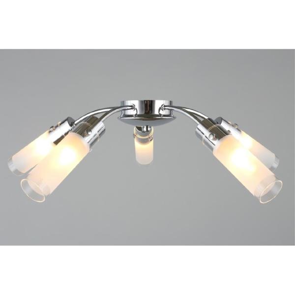 Потолочная люстра Lavarone OML-28707-05