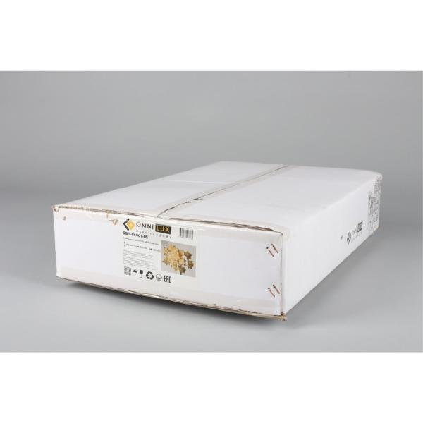 Настенное бра Bellona OML-85501-05