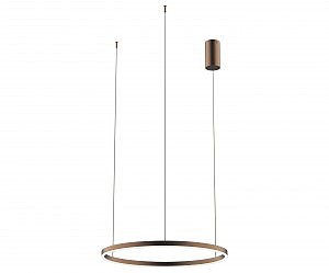 Светильник подвесной Тор 08213,04P