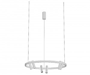 Светильник подвесной Тор-Флип 08232,01