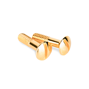 WL18-22-01/ Винты для распределительной коробки/TV розетки 2 шт. (золото) Ретро