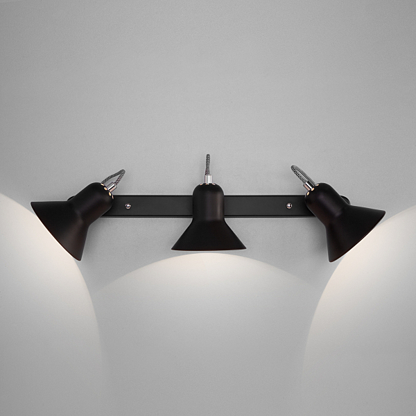 Светильник спот Canotier 20083/3 черный/хром