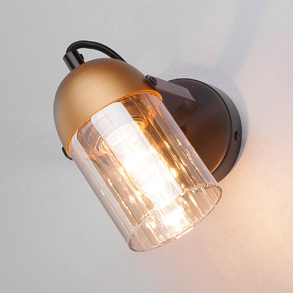 Светильник спот Mars 20122/1 черный/золото