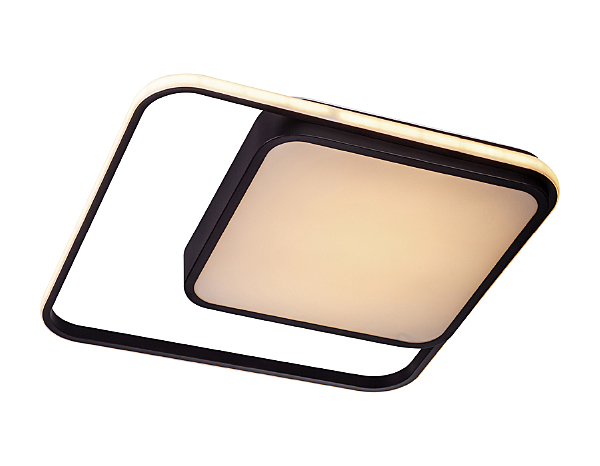 Потолочная люстра Format 10210/2LED