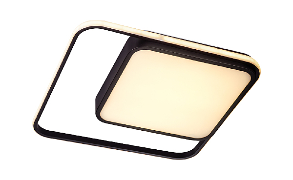 Потолочная люстра Format 10210/2LED