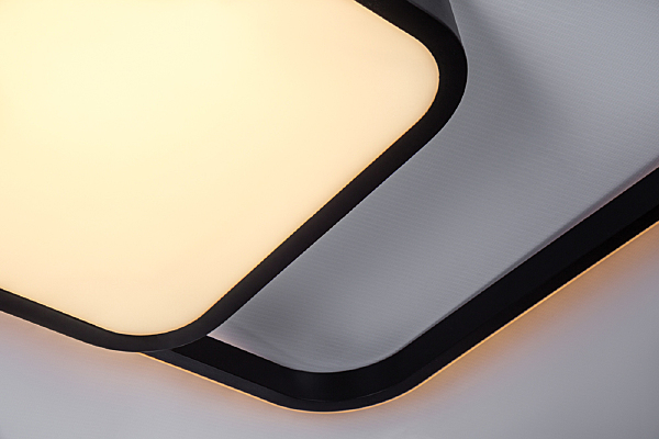 Потолочная люстра Format 10210/2LED