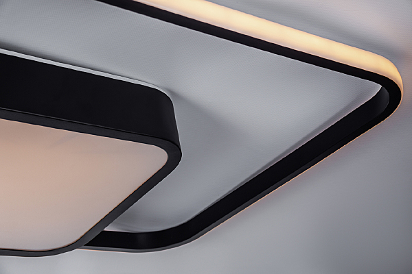 Потолочная люстра Led 10212/2LED