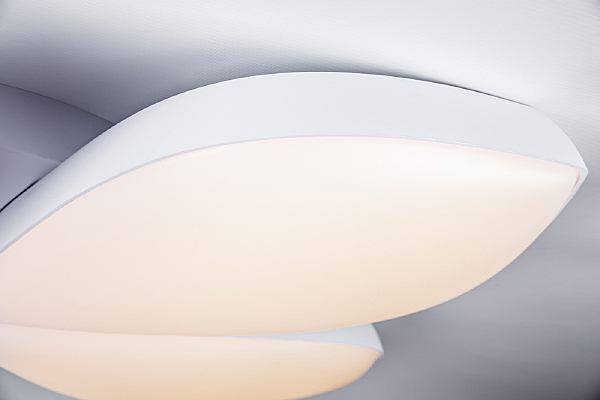 Потолочная люстра Aster 10235/5LED (85W)