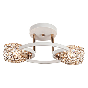 Потолочная люстра Delia 1100/2S