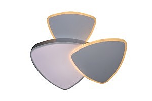 Потолочная люстра LED 81018/5C