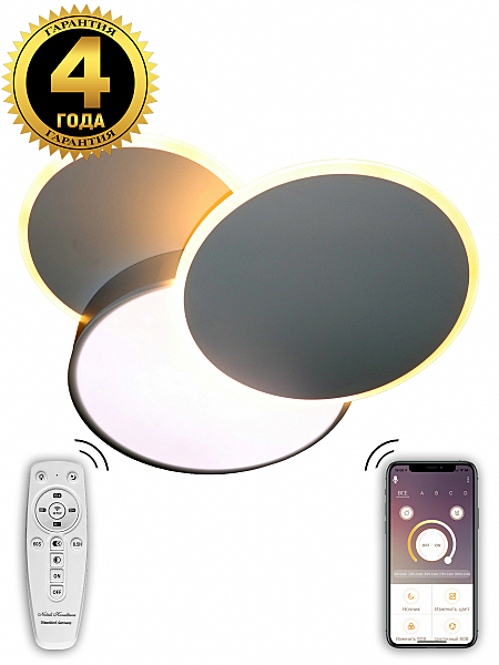 Потолочная люстра LED 81018/6C